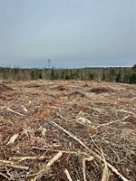 L1 Lively Brook Acres, Whiting, ME 04691