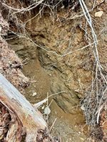 L1 Lively Brook Acres, Whiting, ME 04691