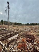 L1 Lively Brook Acres, Whiting, ME 04691