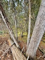 L1 Lively Brook Acres, Whiting, ME 04691