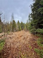 L1 Lively Brook Acres, Whiting, ME 04691