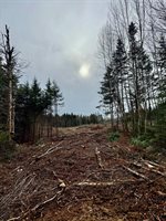 L1 Lively Brook Acres, Whiting, ME 04691