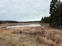 L1 Lively Brook Acres, Whiting, ME 04691