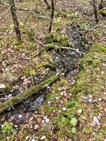 L1 Lively Brook Acres, Whiting, ME 04691