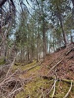 L1 Lively Brook Acres, Whiting, ME 04691