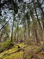 L1 Lively Brook Acres, Whiting, ME 04691