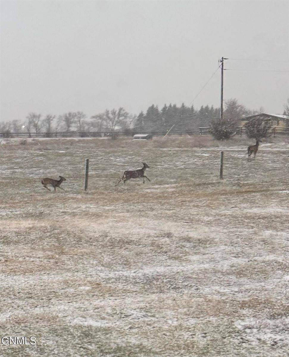 1533 53rd Street West, Williston, ND 58801