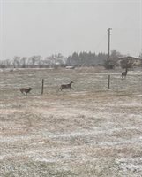 1533 53rd Street West, Williston, ND 58801