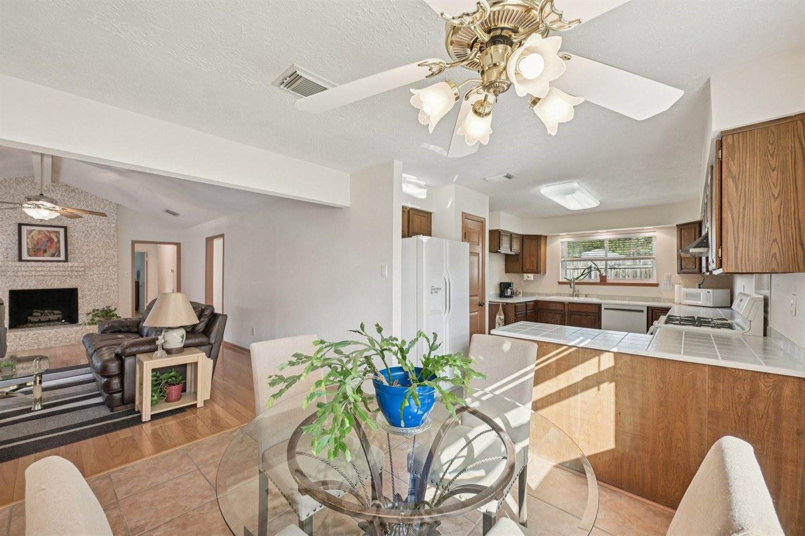 10003 Cane Creek Drive, Houston, TX 77070