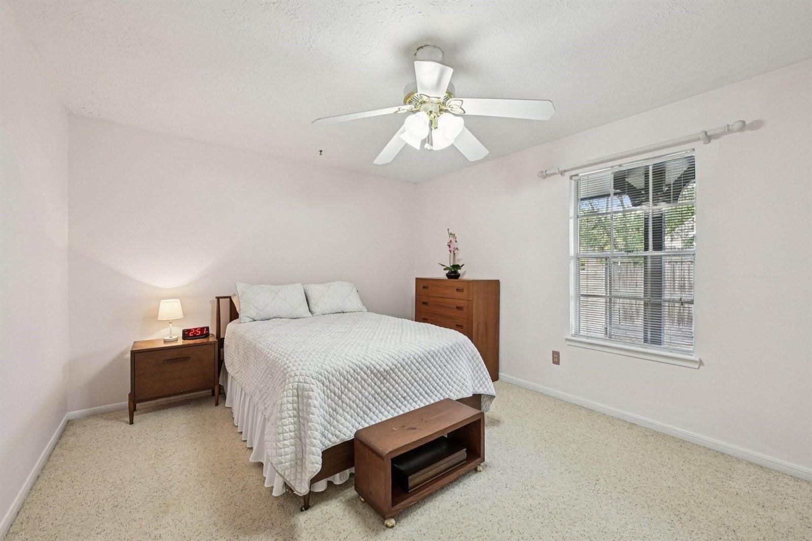 10003 Cane Creek Drive, Houston, TX 77070