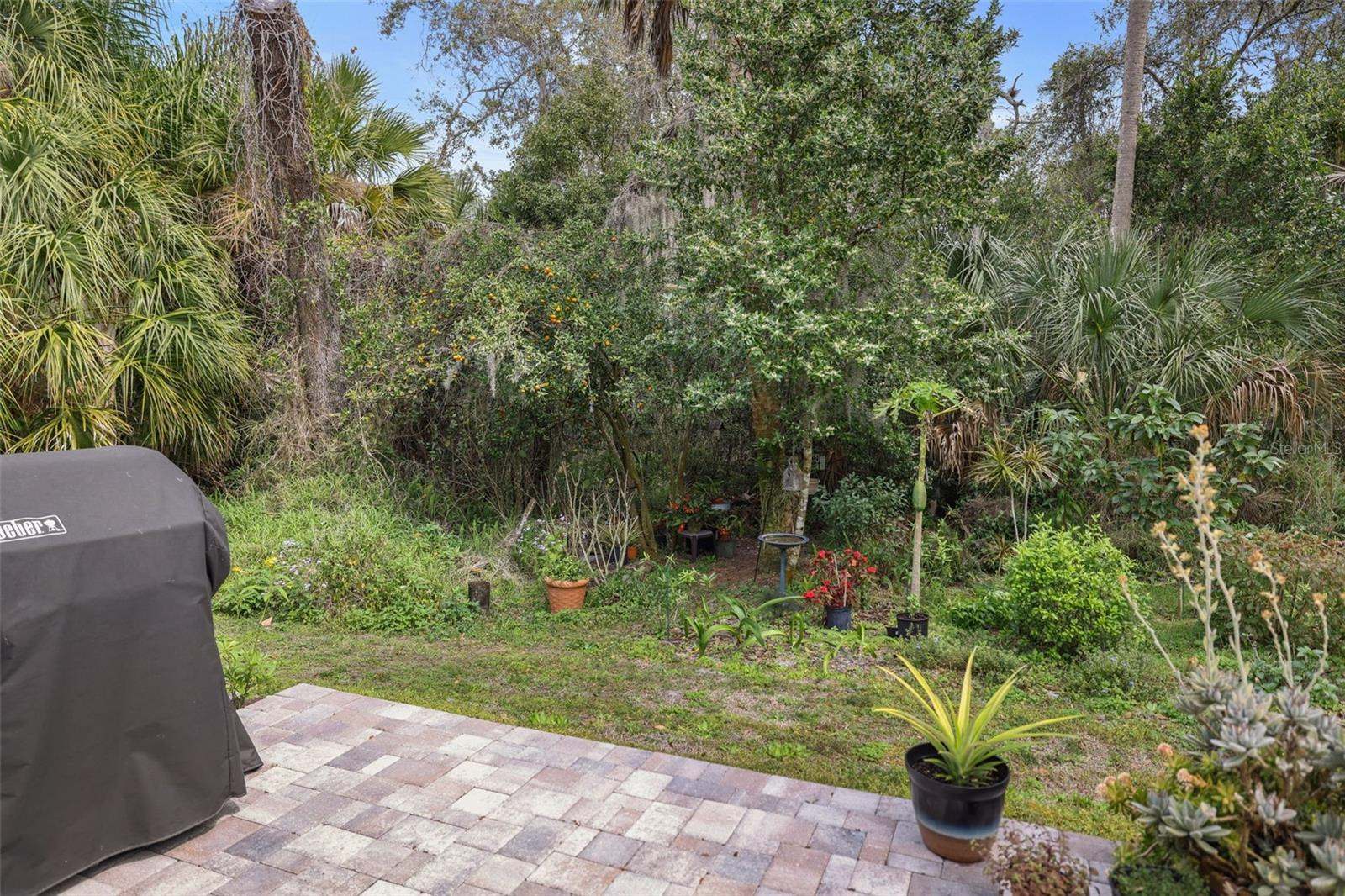 5320 Riverwalk Preserve Drive, New Port Richey, FL 34653