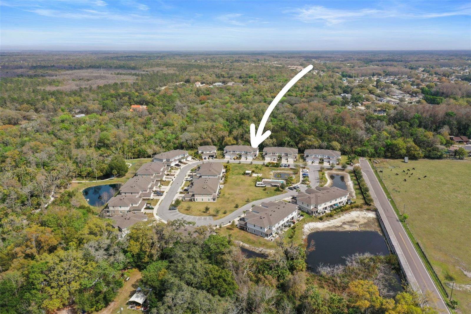 5320 Riverwalk Preserve Drive, New Port Richey, FL 34653