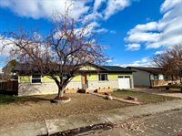 1875 Court Way, Montrose, CO 81401