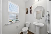 319 Bonhomme, Lexington, SC 29072