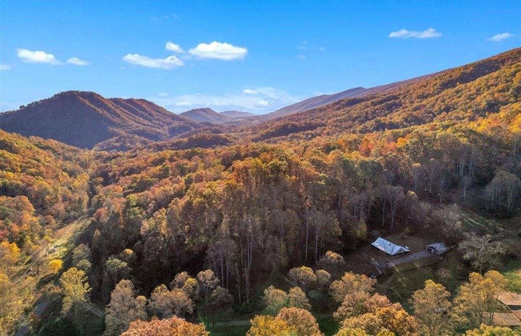 437 Still House Hollow Rd, Saltville, VA 24370