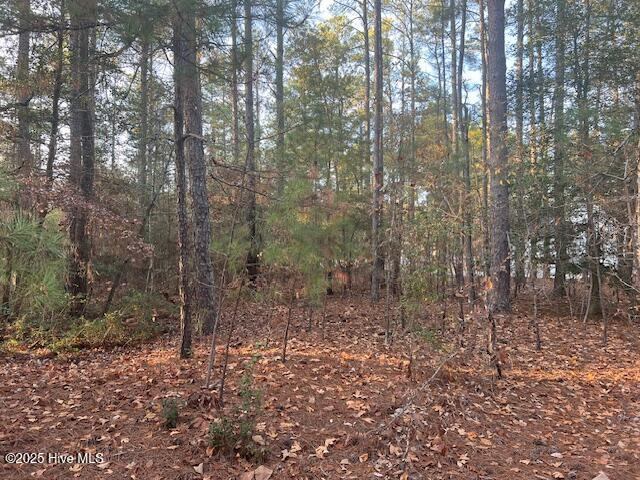 00 Mckenzie Lane, Moore County, NC 28315