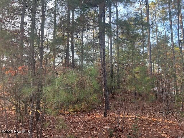 00 Mckenzie Lane, Moore County, NC 28315