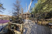 1955 Gap Creek Road, Elizabethton, TN 37643