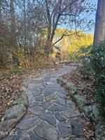 1955 Gap Creek Road, Elizabethton, TN 37643