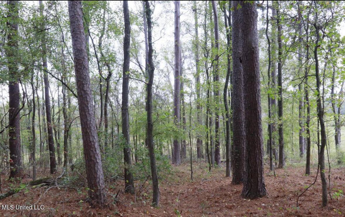 0 Westline Lots Drive, Madison, MS 39110