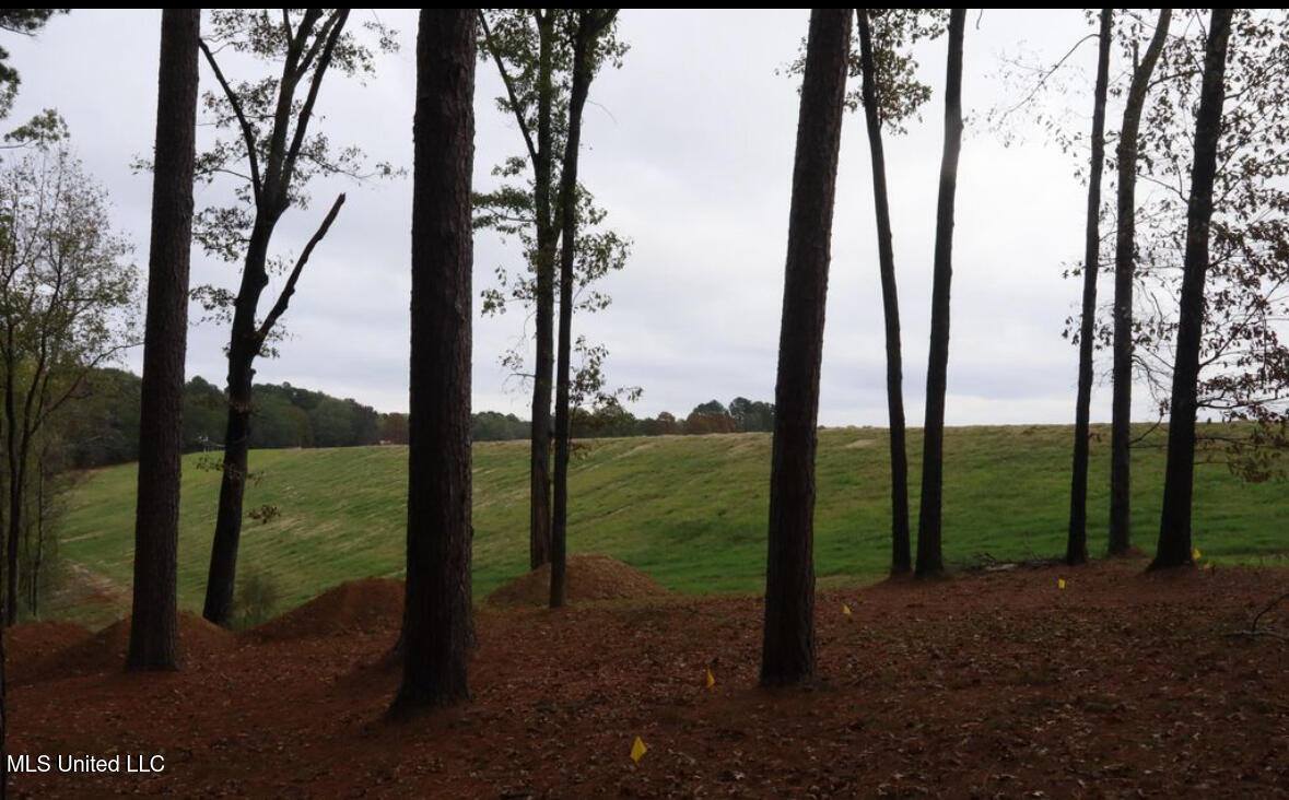 0 Westline Lots Drive, Madison, MS 39110