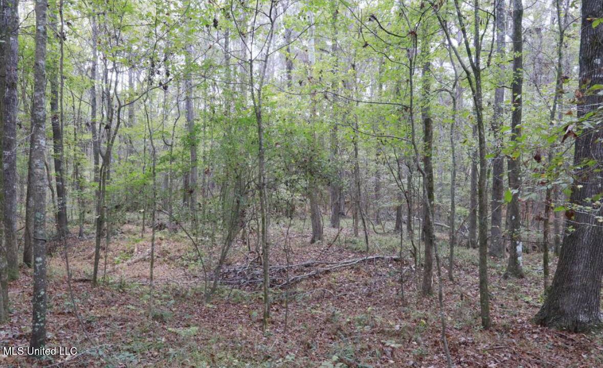 0 Westline Lots Drive, Madison, MS 39110