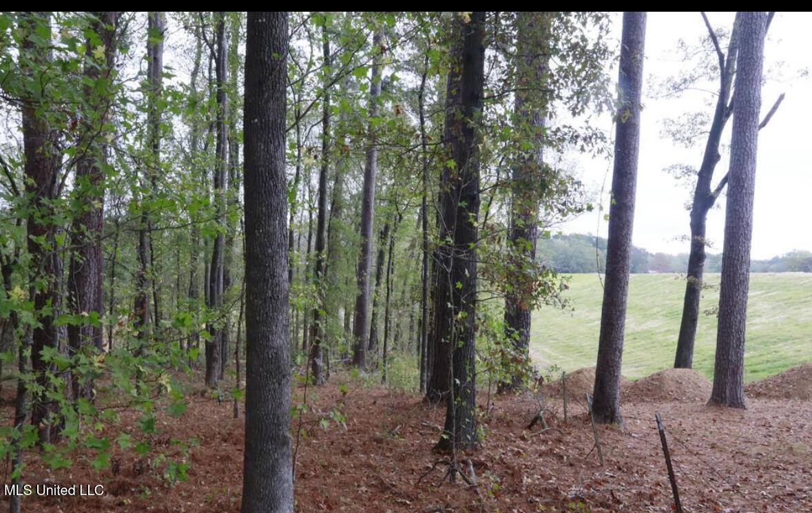 0 Westline Lots Drive, Madison, MS 39110