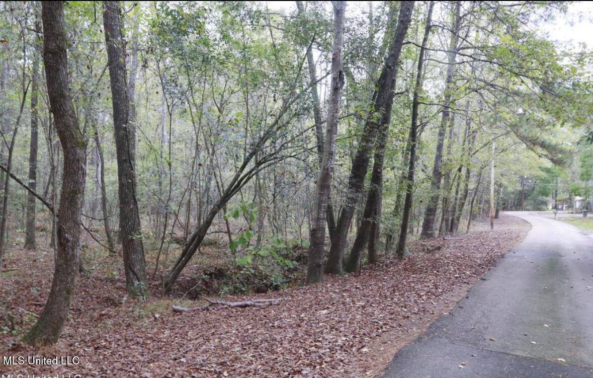 Westline Lots Drive, Madison, MS 39110