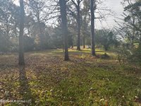655 Ralde Circle, Ridgeland, MS 39157