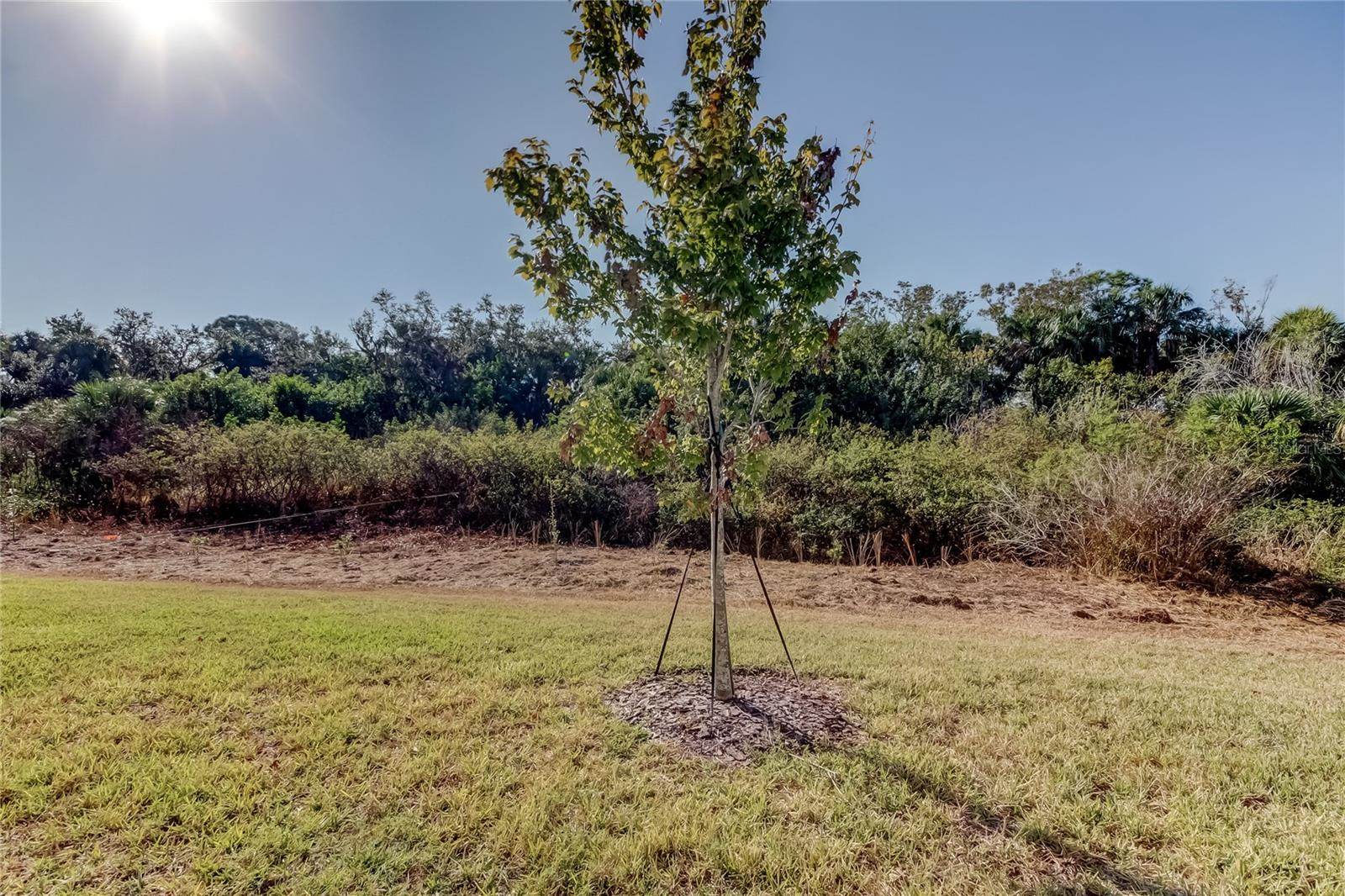 11633 Glenside Terrace, Palmetto, FL 34221