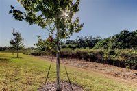 11633 Glenside Terrace, Palmetto, FL 34221