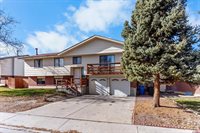 1248 Leeds Avenue, Montrose, CO 81401