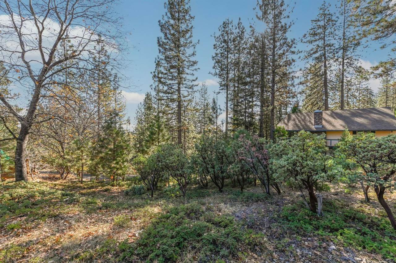 2637 Ruth Lane, Arnold, CA 95223