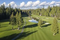 2637 Ruth Lane, Arnold, CA 95223