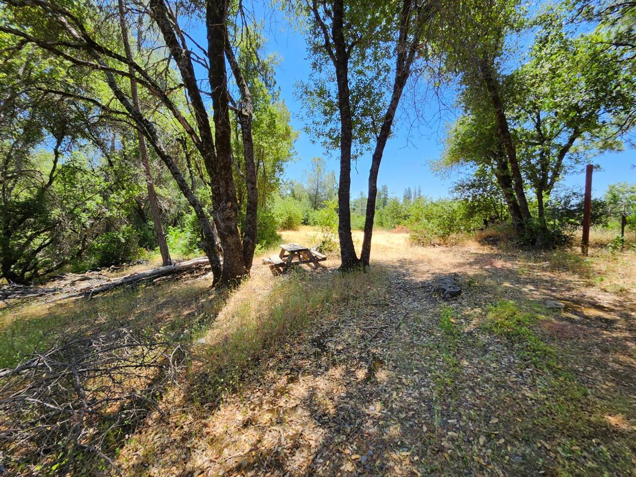 12717 Armstrong Road, Sheep Ranch, CA 95246