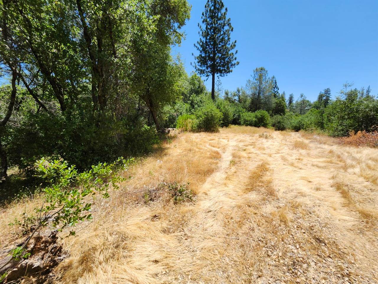 12717 Armstrong Road, Sheep Ranch, CA 95246