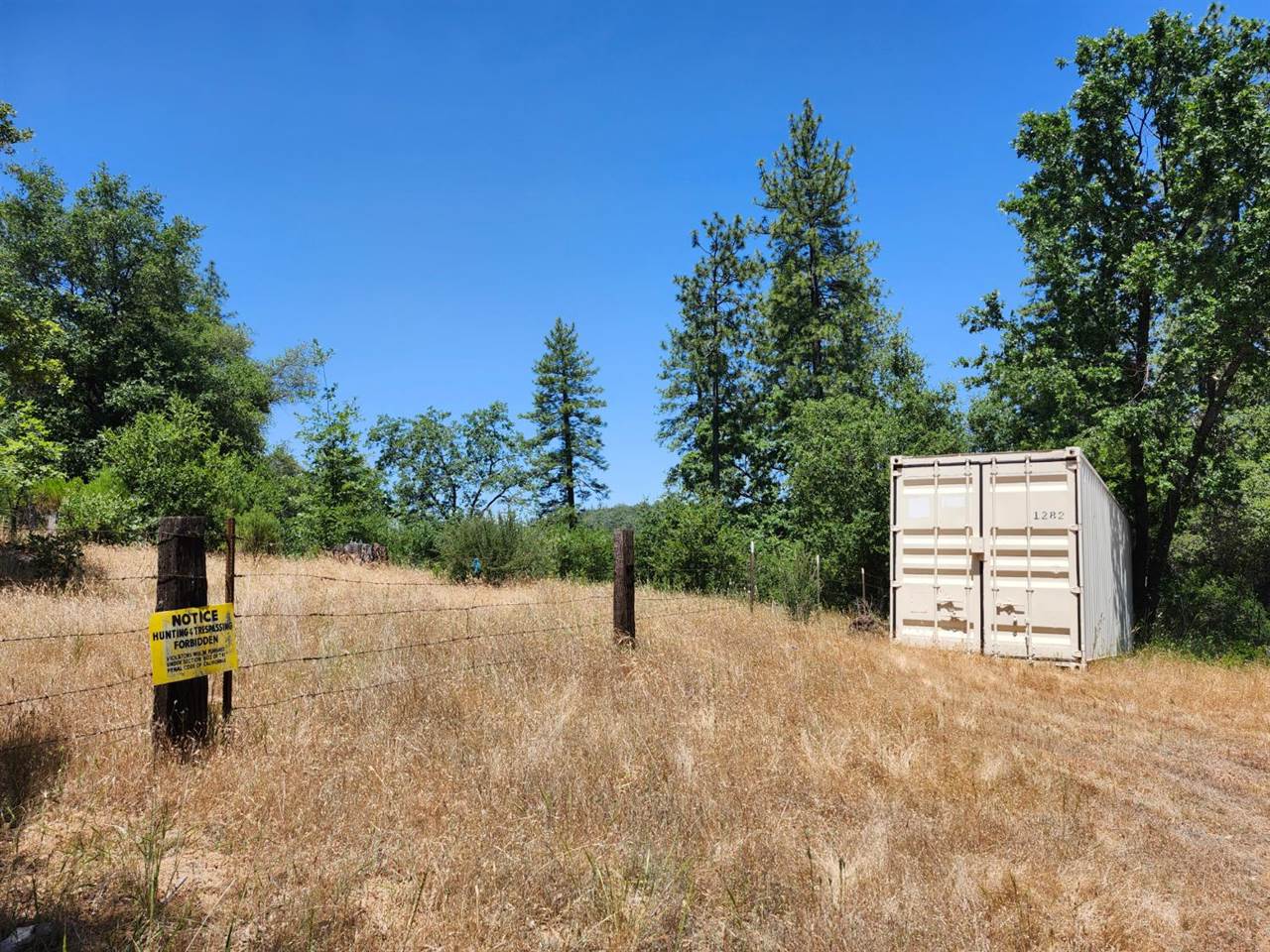 12717 Armstrong Road, Sheep Ranch, CA 95246