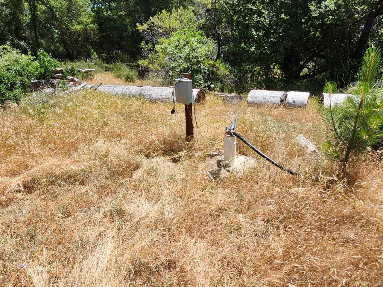 12717 Armstrong Road, Sheep Ranch, CA 95246