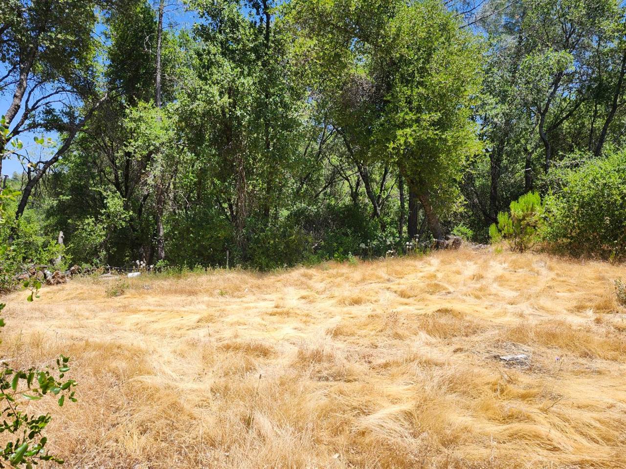 12717 Armstrong Road, Sheep Ranch, CA 95246