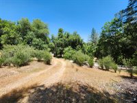 12717 Armstrong Road, Sheep Ranch, CA 95246