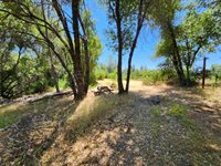 12717 Armstrong Road, Sheep Ranch, CA 95246