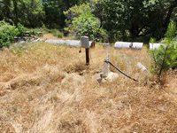 12717 Armstrong Road, Sheep Ranch, CA 95246