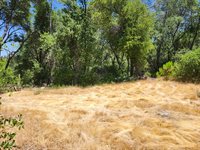 12717 Armstrong Road, Sheep Ranch, CA 95246