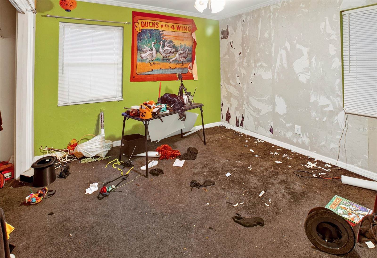 7800 11TH Street North, Saint Petersburg, FL 33702