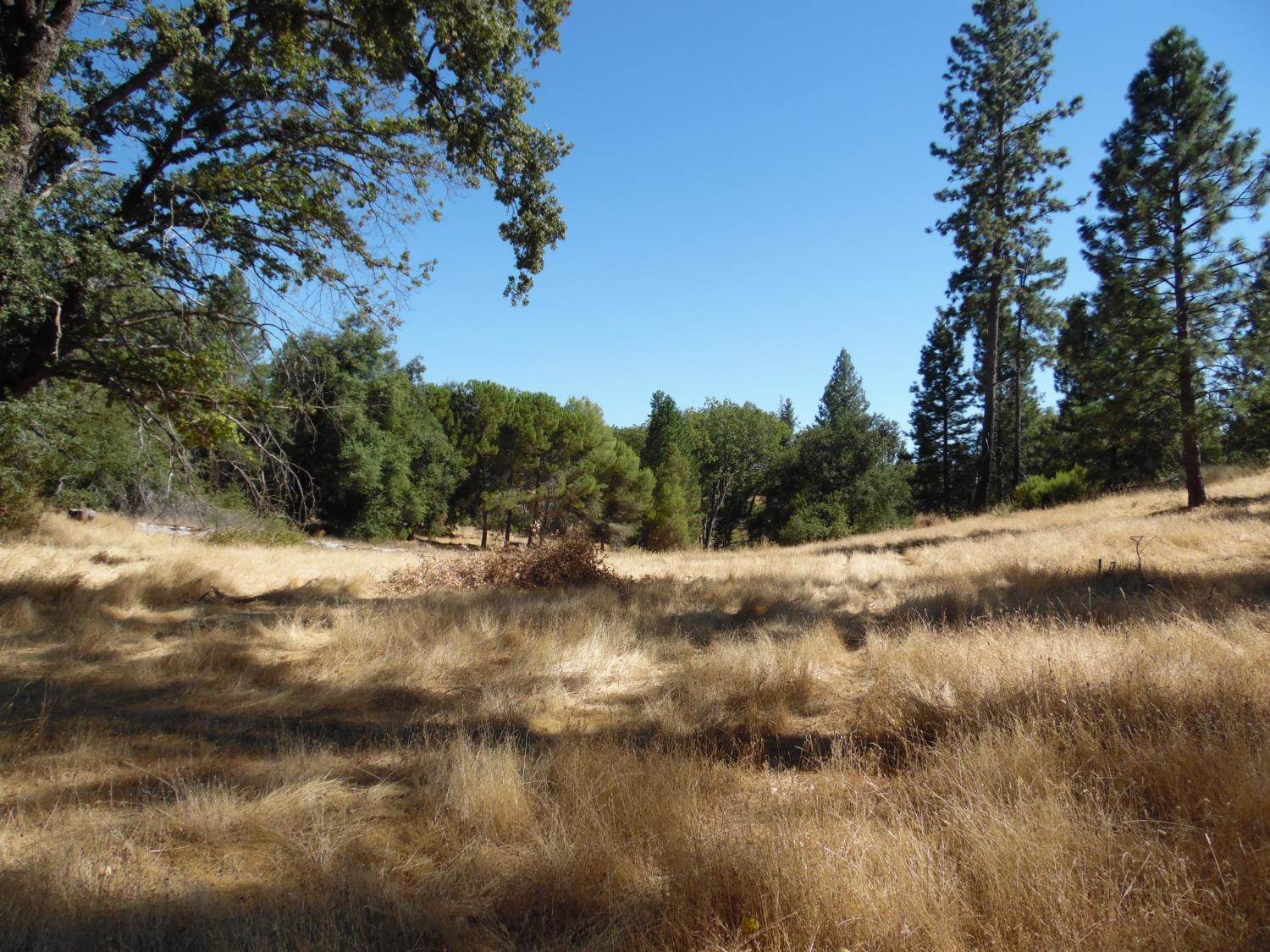 10006 Wendell Road, Mountain Ranch, CA 95246