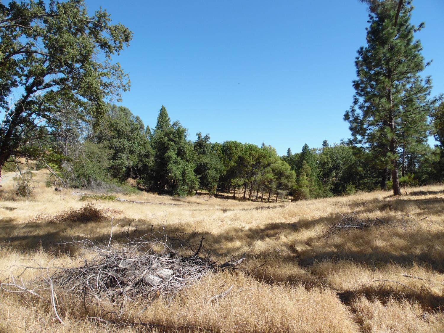 10006 Wendell Road, Mountain Ranch, CA 95246