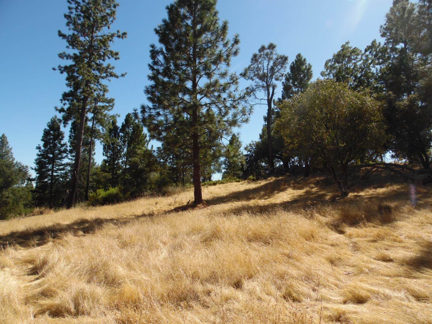 10006 Wendell Road, Mountain Ranch, CA 95246