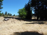 10006 Wendell Road, Mountain Ranch, CA 95246