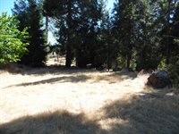 10006 Wendell Road, Mountain Ranch, CA 95246