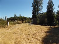 10006 Wendell Road, Mountain Ranch, CA 95246